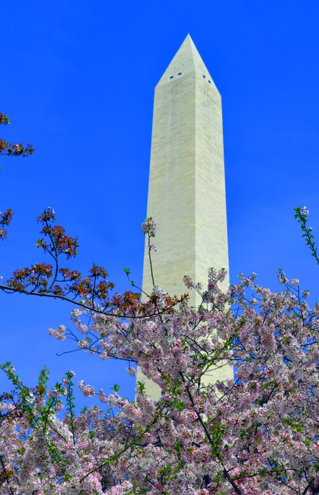 washington-monument-2