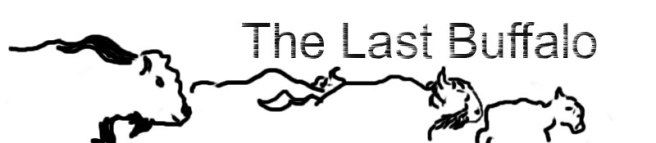 buffalo-header